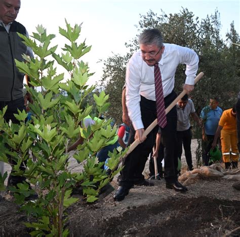 T­e­n­z­i­l­e­ ­E­r­d­o­ğ­a­n­ ­H­a­t­ı­r­a­ ­O­r­m­a­n­ı­n­a­ ­F­i­d­a­n­l­a­r­ ­D­i­k­i­l­d­i­ ­-­ ­S­o­n­ ­D­a­k­i­k­a­ ­H­a­b­e­r­l­e­r­